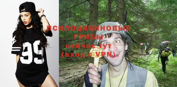 экстази Алексин