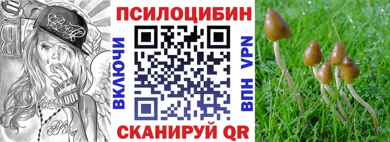 kraken ТОР Кизилюрт Галлюциногенные грибы MAGIC MUSHROOMS
