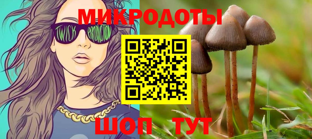 Галлюциногенные грибы MAGIC MUSHROOMS Кизилюрт