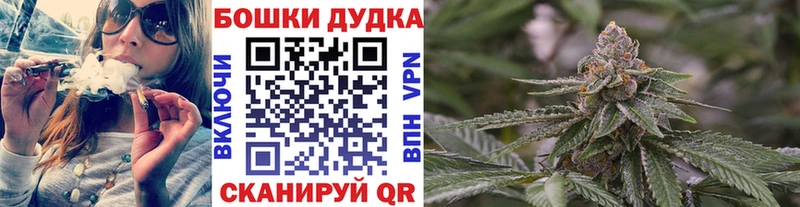 Марихуана планчик  Кизилюрт 