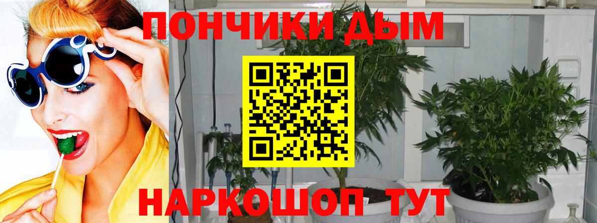 Каннабис планчик Кизилюрт